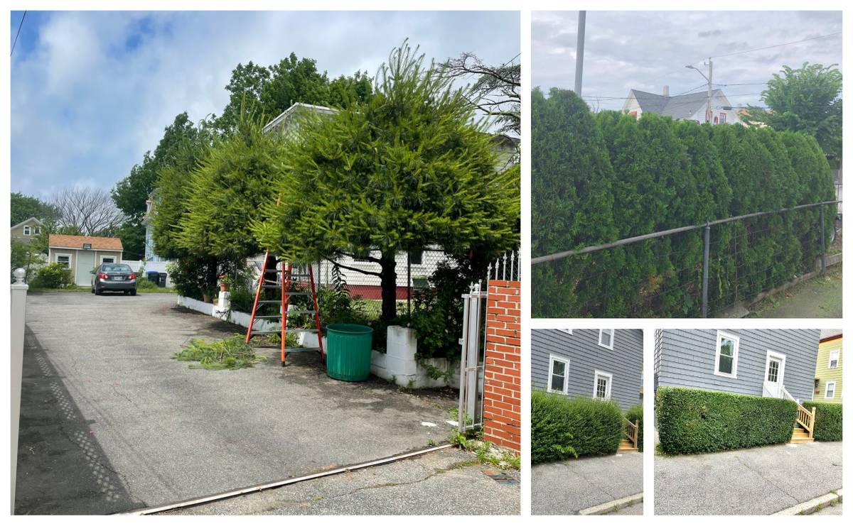 landscaping, snow removal, tree cutting, mulch,  fall cleaning