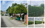 landscaping, snow removal, tree cutting, mulch,  fall cleaning