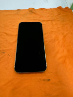 iPhone 12 Pro Max (unlocked)