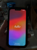 iPhone 13 Pro Max (128 gb)