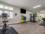 Modern fitness center with exercise equipment and large windows at Sycamores Apartments in Reston, VA.