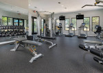 Resort Style Pool, BRAND NEW Interior Renovations, On-Site Management