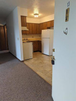 Peck Apartments - 84 WRebecca st- 1 BED 1 BATH