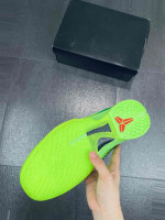 Kobe's 6 Grinch Series Nike Protro