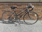 Raleigh 10 speed