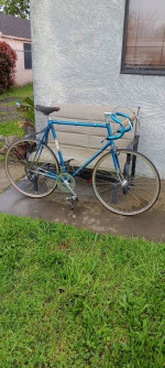 1971 Schwinn Paramount Road Bike Large Frame 25"