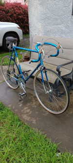 1971 Schwinn Paramount Road Bike Large Frame 25"