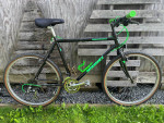 Vintage Niskiki Manitoba MTB