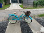 3 speed Electra cruiser