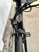 Populo Sport Electric Bicycle (E-Bike)
