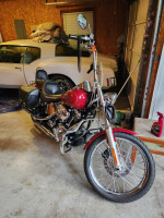 2007 Harley Davidson custom softail