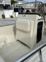 17' Boston Whaler Outrage