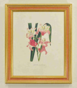 Colorful Stylish Picture Wood Frames. Width 1.2" x Height 1.2".