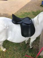 16” Wide Saddle – Like New – Ideal for Wide, Flat-Backed Ponies