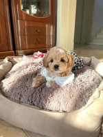 Don’t Miss Out – Limited-Time Deals Inside!