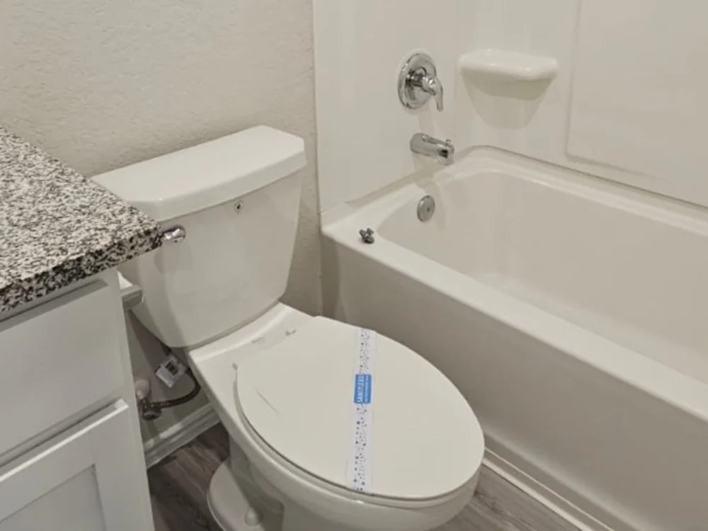 3 Bedrooms and 2 Bathrooms available for rent
