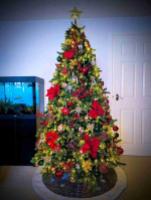 Christmas tree for sale