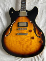 Washburn hb35 guitar with case