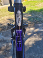 19" Women's GIANT Innova 21 Speed Road Bike