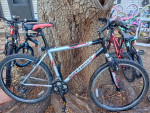 4 HIGH-END LARGE/XL 26-IN MOUNTAIN BIKES SPECIALIZED GARY FISHER TREK