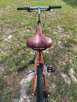 Mongoose Threshold Sport Bike