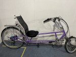 Easy Racers Fold Rush Recumbent - Price Reduced