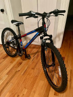 Trek MT 220 24” 21-speed kids mountain bike in excellent condition