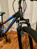 Trek MT 220 24” 21-speed kids mountain bike in excellent condition