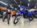Ready for an Enduro / Dual Sports Street Dirtbike / 250cc Motorcycle ?