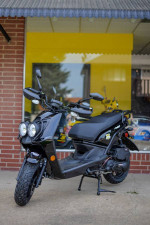 2023 Wolf Rugby - 50cc Moped Scooter