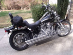 Harley Davidson Softail
