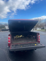 Open bed of a 2013 Ford F-150 Lariat 4WD, clean with tonneau cover, showcasing ample space.