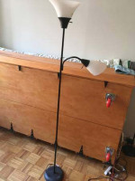 Floor lamp with one gooseneck 2 bulbs