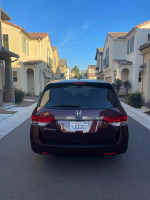 Rear view of a 2014 Honda Odyssey parked in a residential area, showing its sleek design and registered plates.