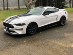 2019 Ford Mustang GT with custom racing stripes and upgraded features parked in a scenic area.