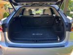 Spacious trunk area of a clean 2019 Lexus RX 350, showcasing the interior and rubber mat.