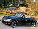 2005 Lexus SC430 convertible parked in a scenic garden setting, showcasing its sleek black exterior and tan interior.