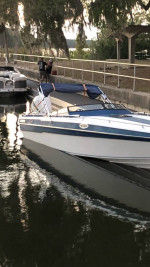 checkmate convincer gtx