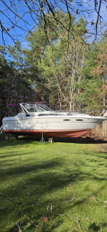30' SeaRay Cabin Cruiser