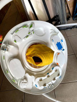 Fisher Price Go Wild! Jumperoo® DTL57