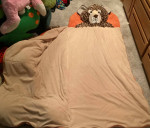 Bear Sleeping Bag/Blanket