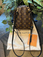 Louis LV Mini Backpack Monogram Purse Bag