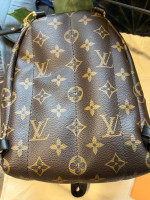 Louis LV Mini Backpack Monogram Purse Bag
